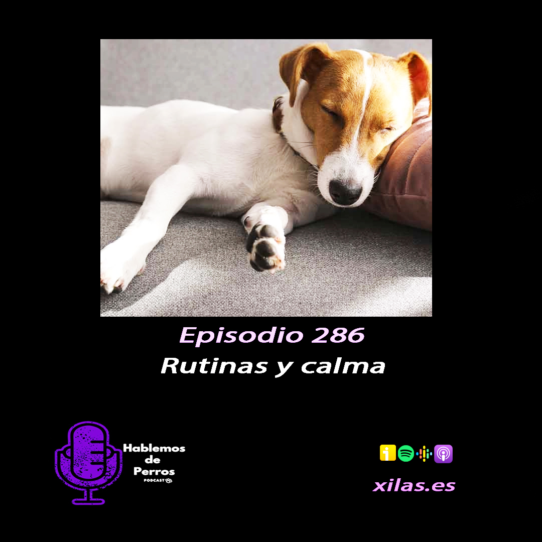 Episodio #286: Rutinas y calma