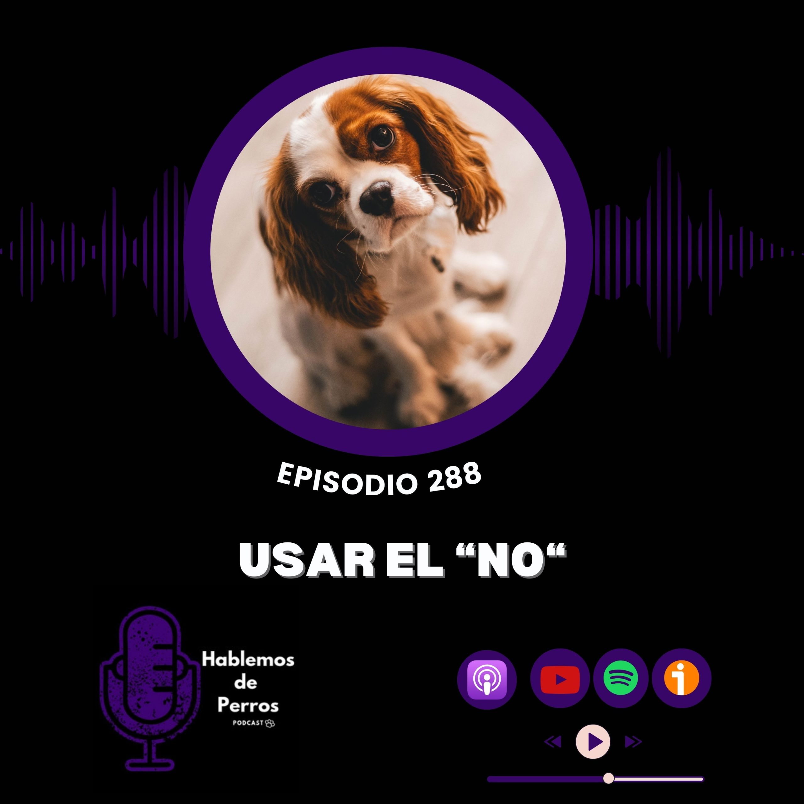 Episodio #288: El «no»