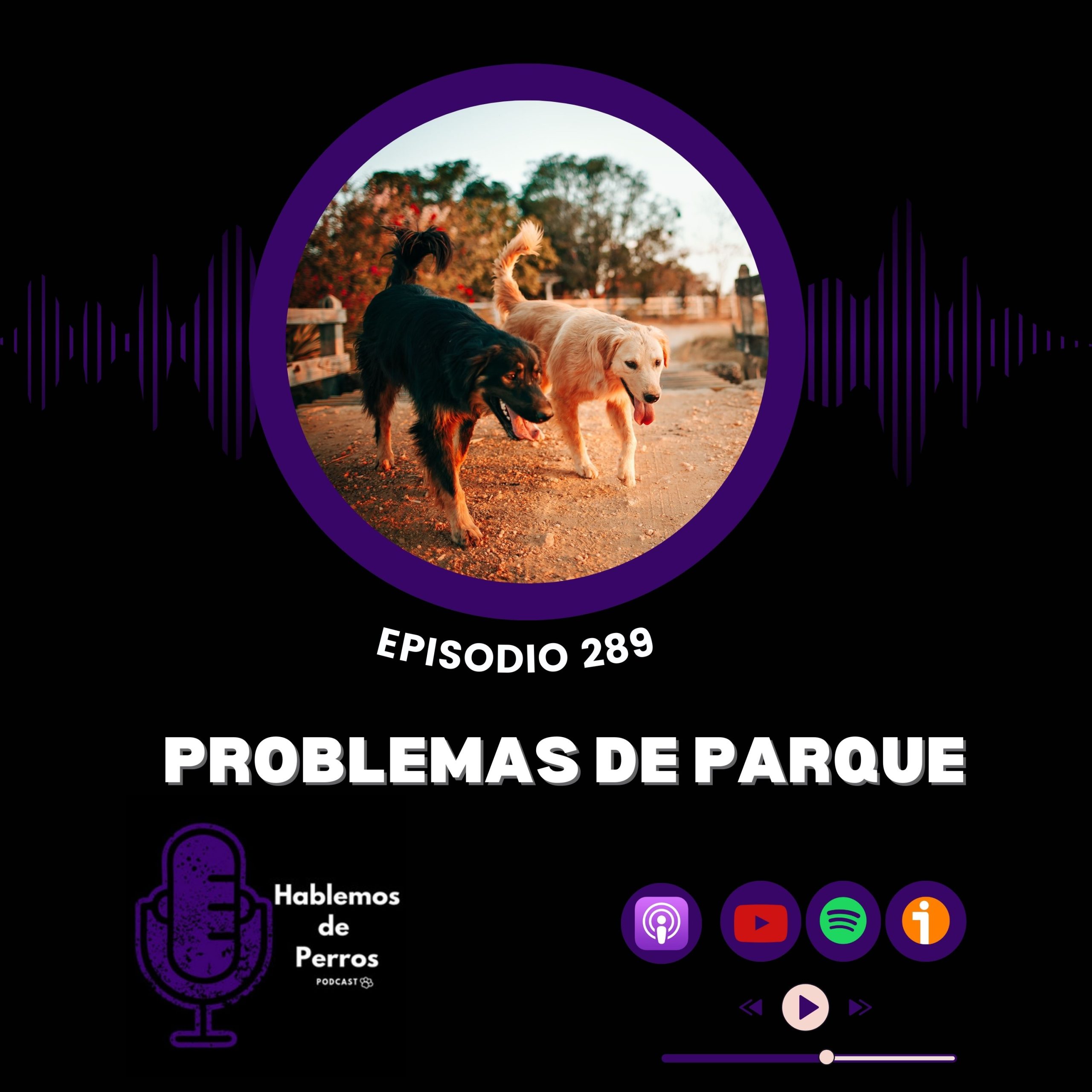 Episodio #289: Problemas de parque
