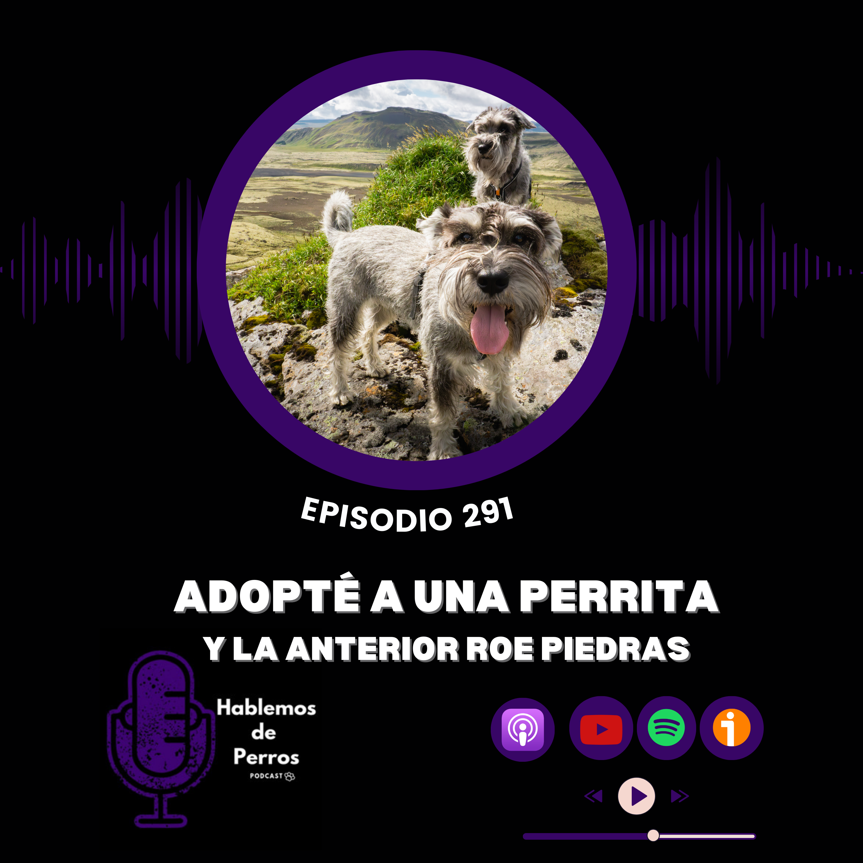 Episodio #291: Desde que llegó mi segunda perra, la primera roe piedras