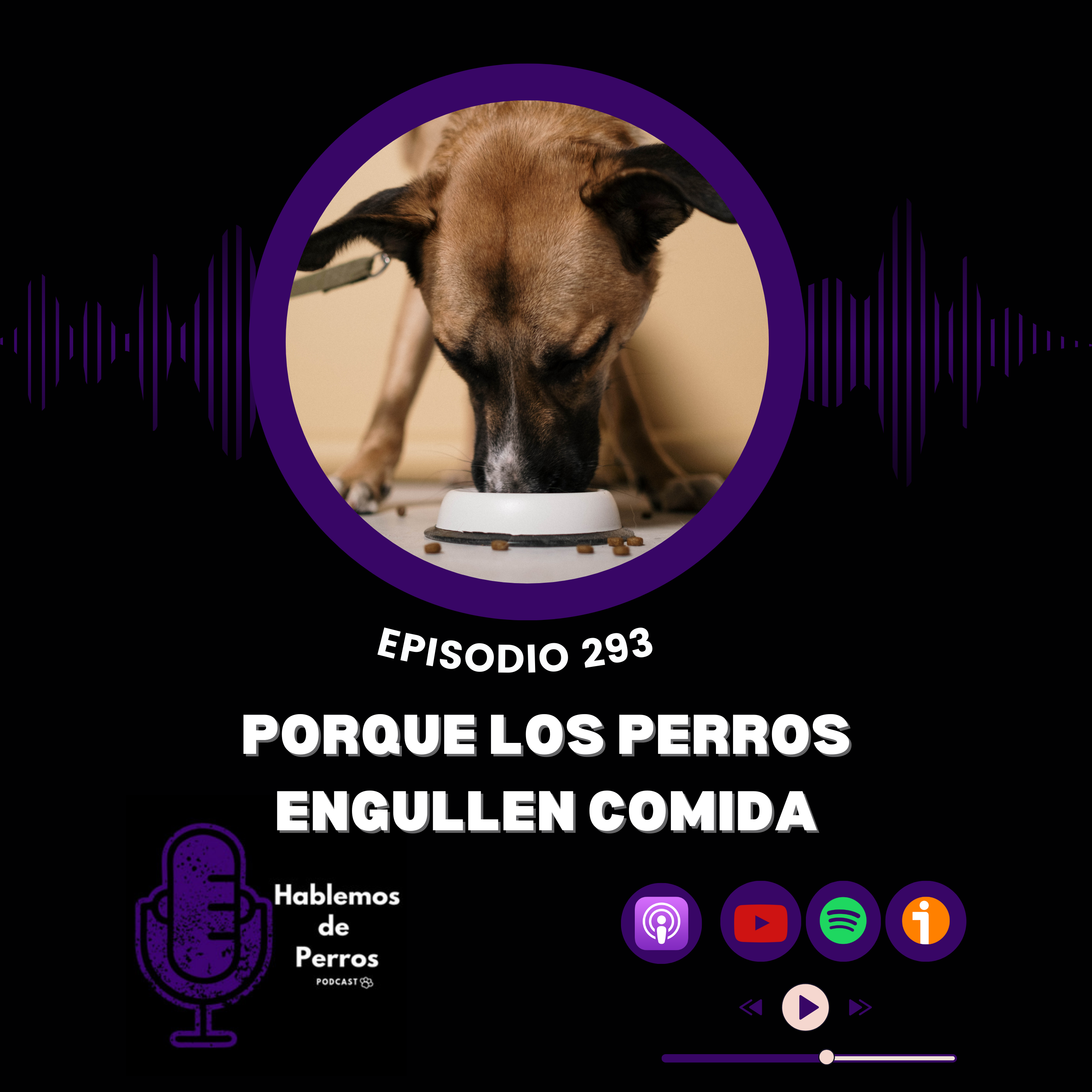 Episodio #293: Porqué los perros engullen comida