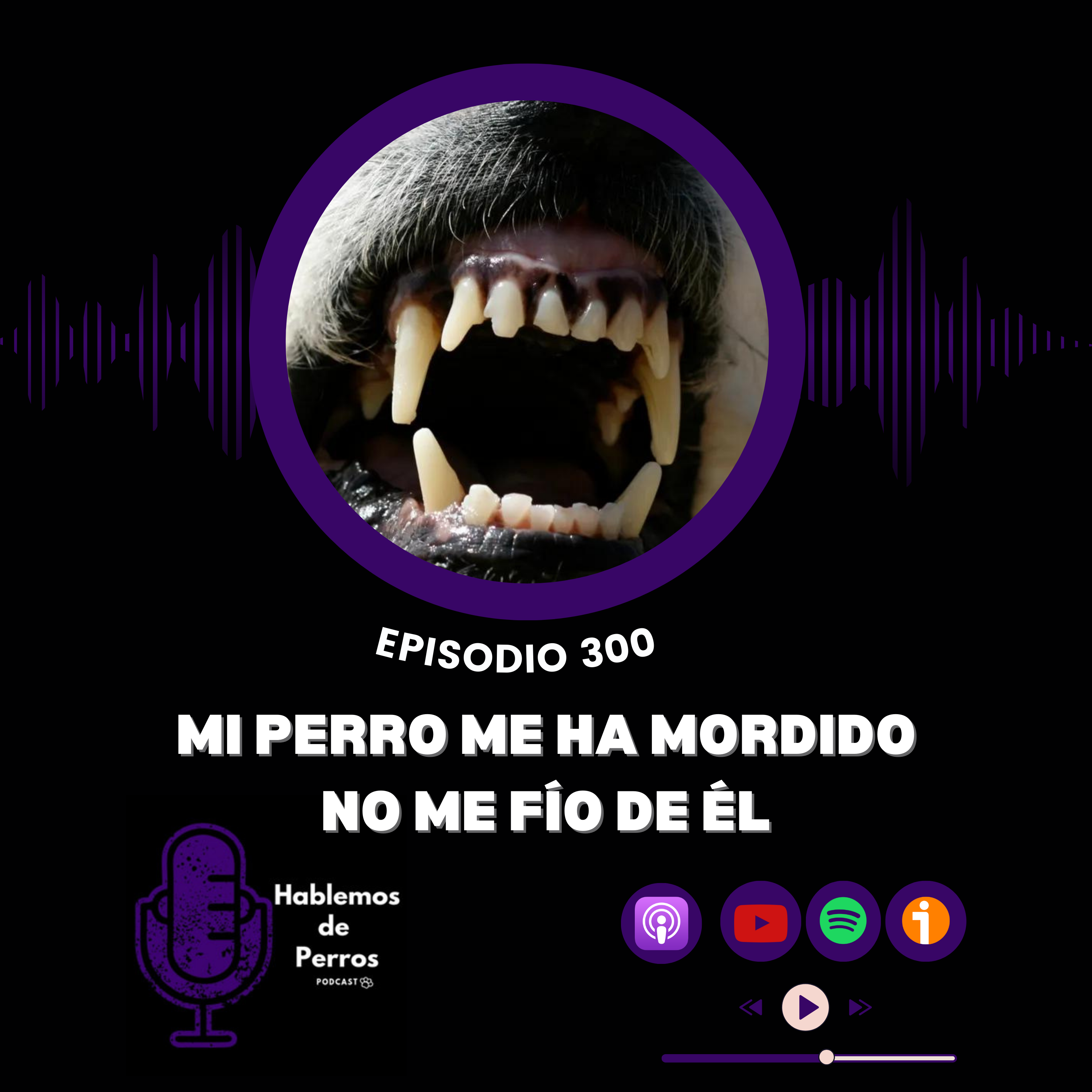 Episodio 300: Mi perro me ha mordido y no me fío de él