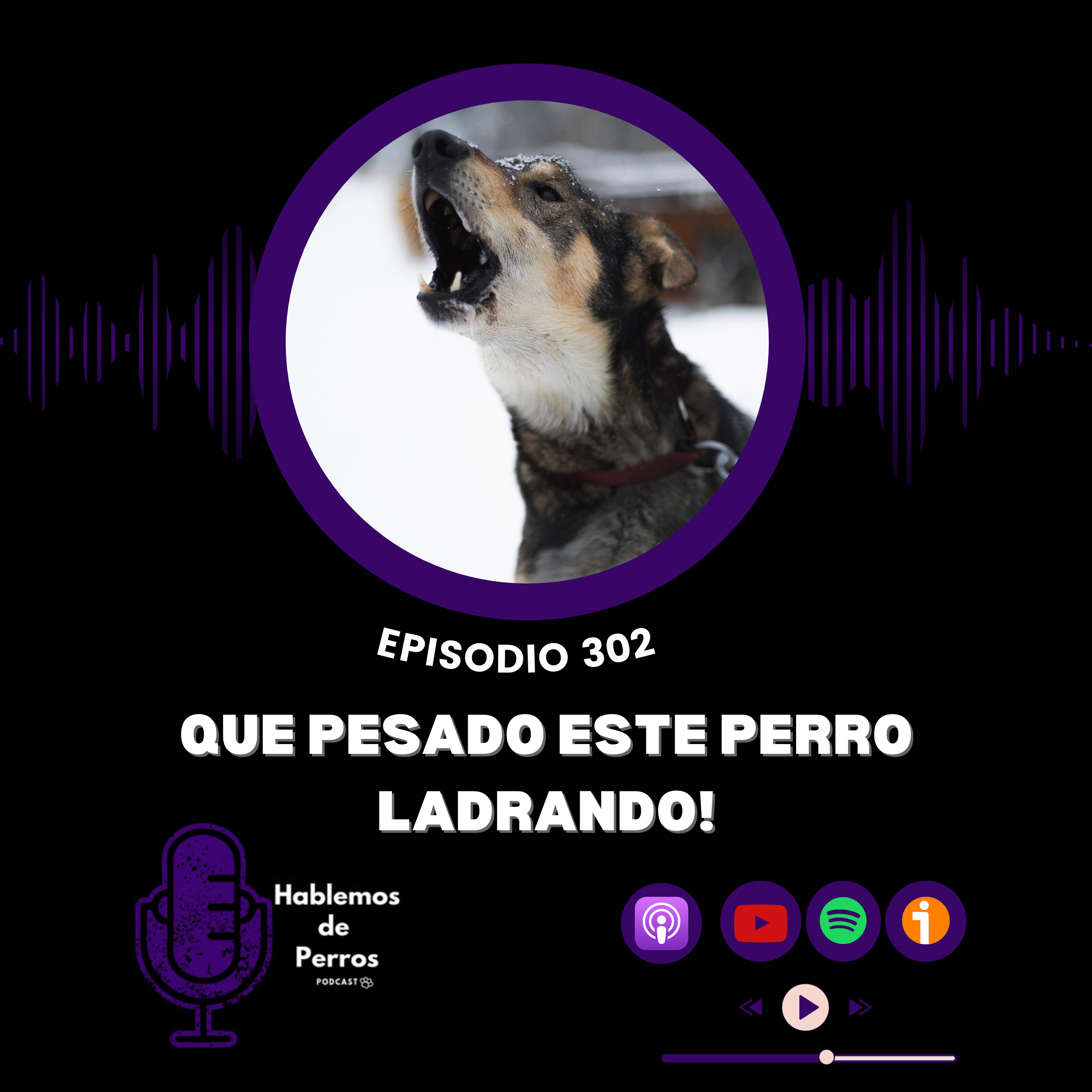 Episodio #302: Mi perro ladra, que pesado es!!