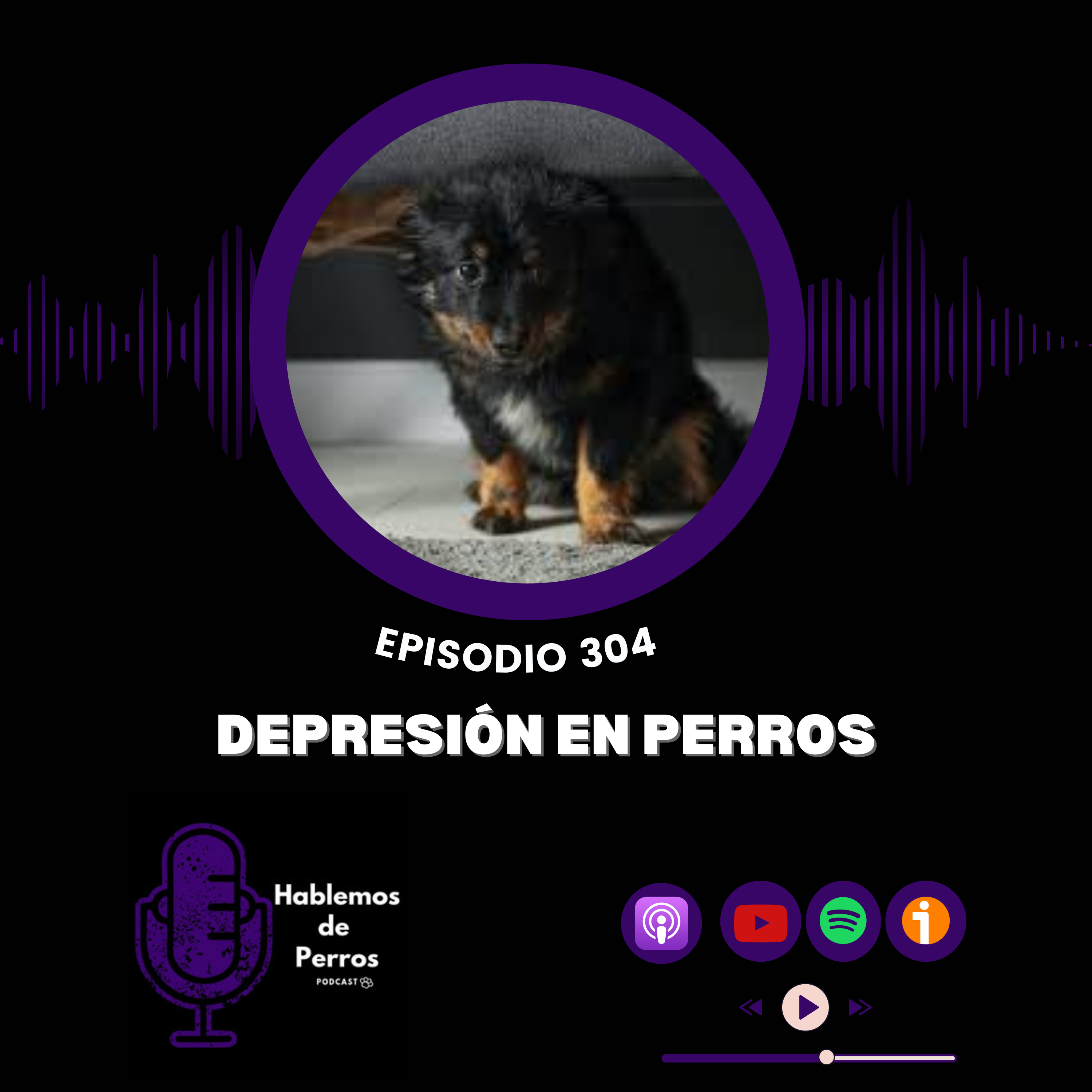 Episodio#304: Depresión en perros