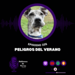 Hablemos de perros