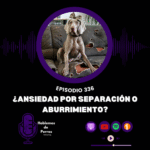Hablemos de perros Hablemos de perros