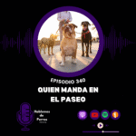Hablemos de perros Hablemos de perros