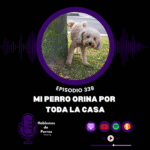 Hablemos de perros Hablemos de perros