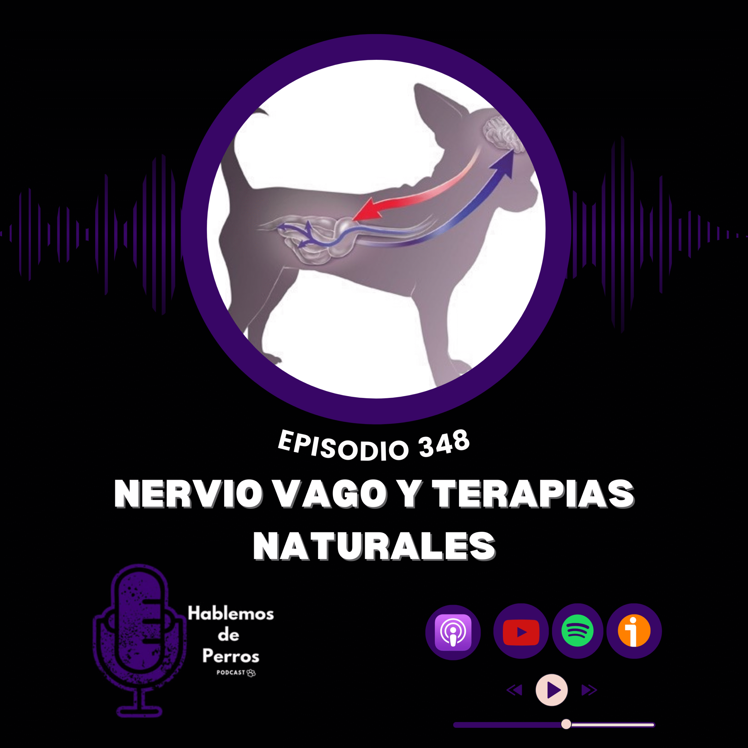 EP#348: Nervio vago y terapias naturales