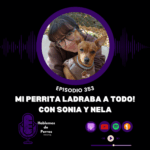 Hablemos de perros Hablemos de perros