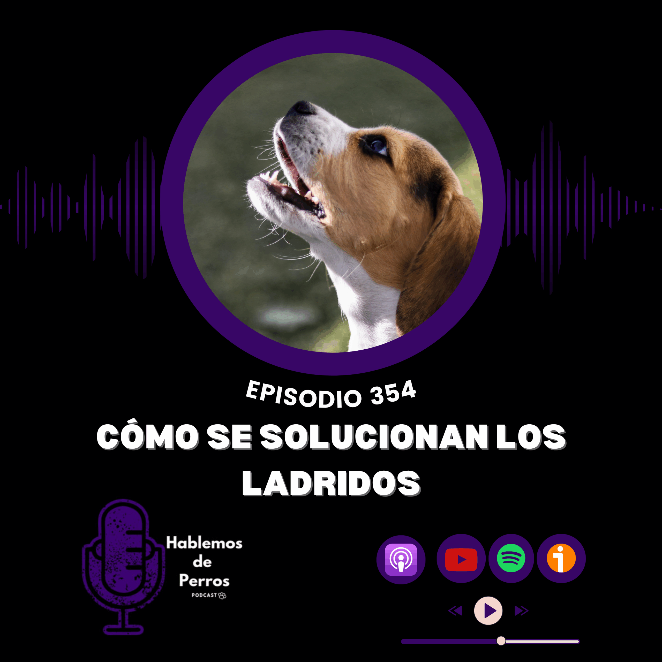 EP#354: Cómo se solucionan los ladridos