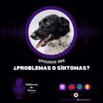 Hablemos de perros