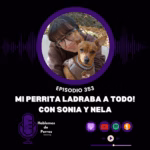 Hablemos de perros Hablemos de perros