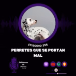 Hablemos de perros