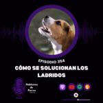 Hablemos de perros
