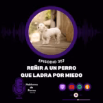 Hablemos de perros Hablemos de perros