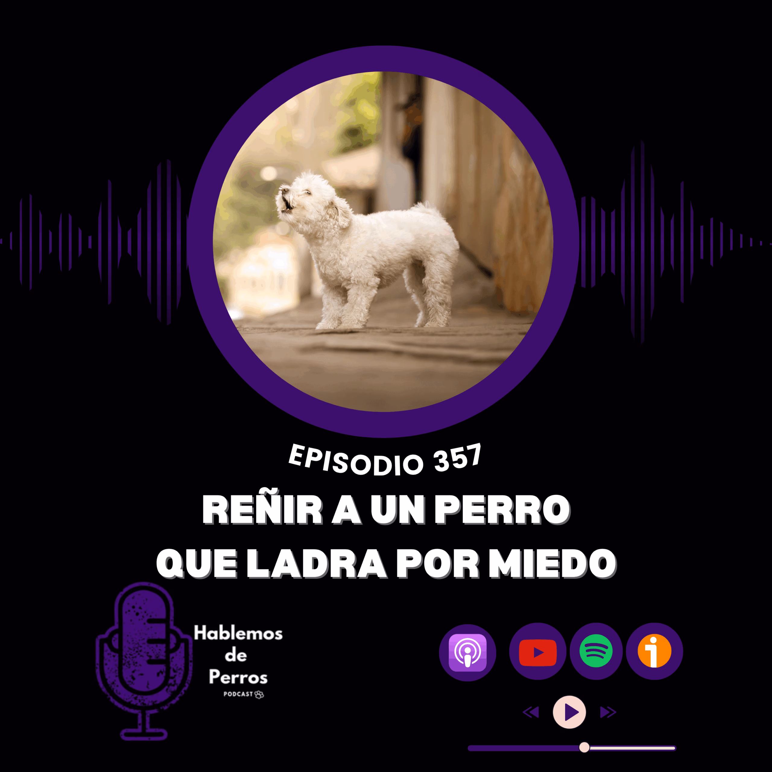 EP#357: El peligro de reñir a un perro con miedo