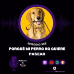 Hablemos de perros Hablemos de perros