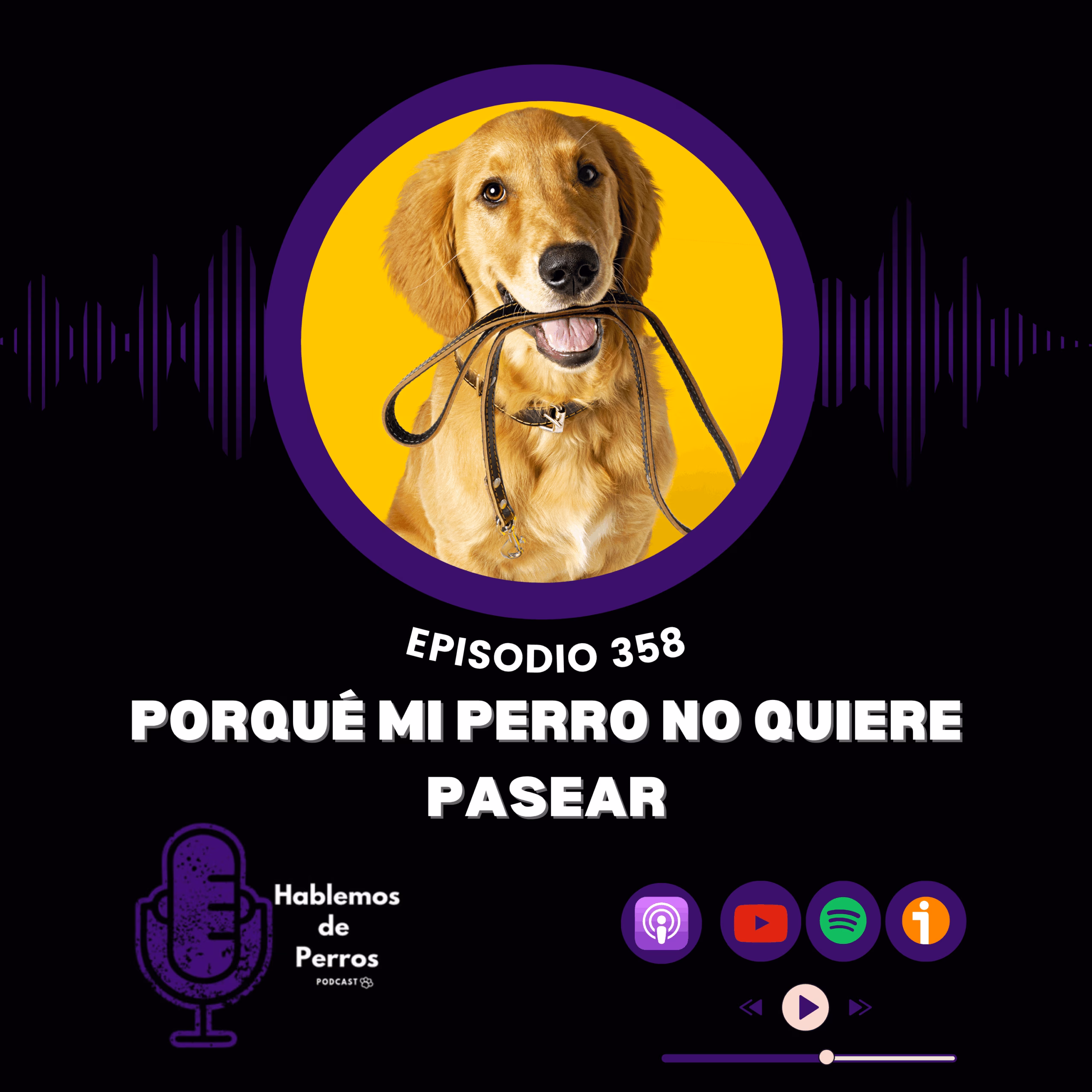 EP#358: Porqué no quiere pasear mi perro EP#358: Porqué no quiere pasear mi perro