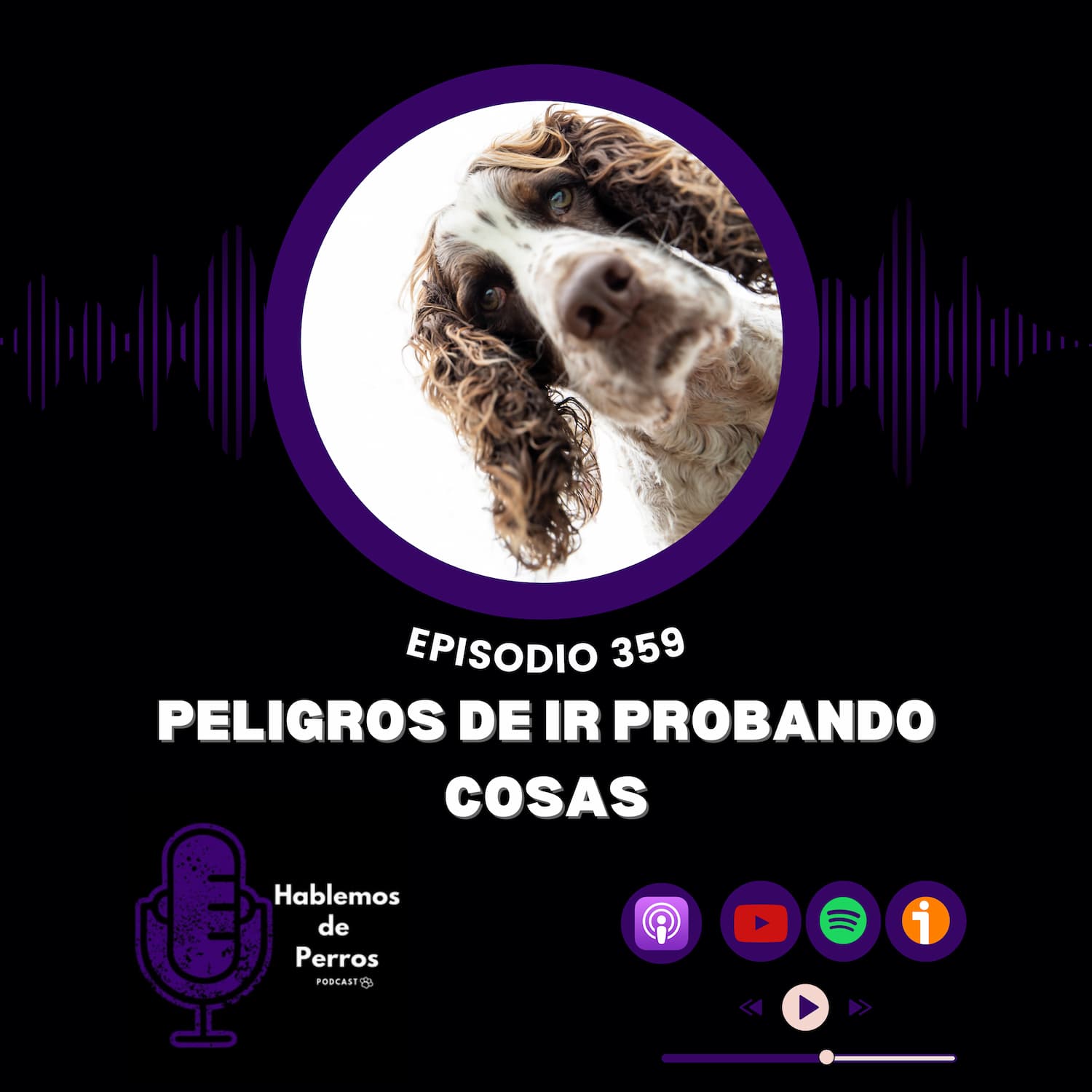 Ep#359: Peligros de ir probando cosas