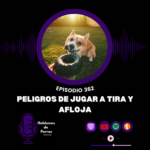 Hablemos de perros Hablemos de perros