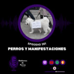 Hablemos de perros