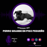 Hablemos de perros