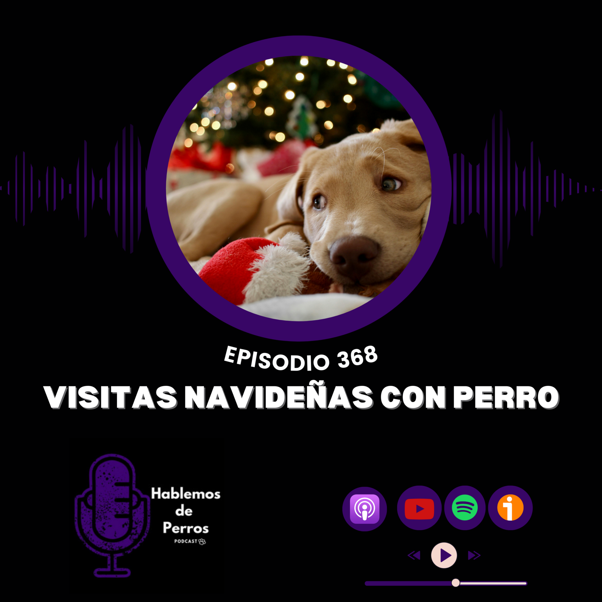 EP#368: Consejos para visitas navideñas con perro