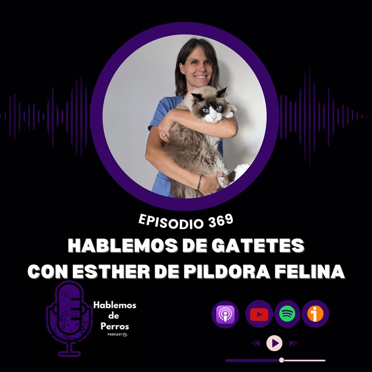 EP#369: Hablemos de gatetes