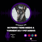 Hablemos de perros Hablemos de perros