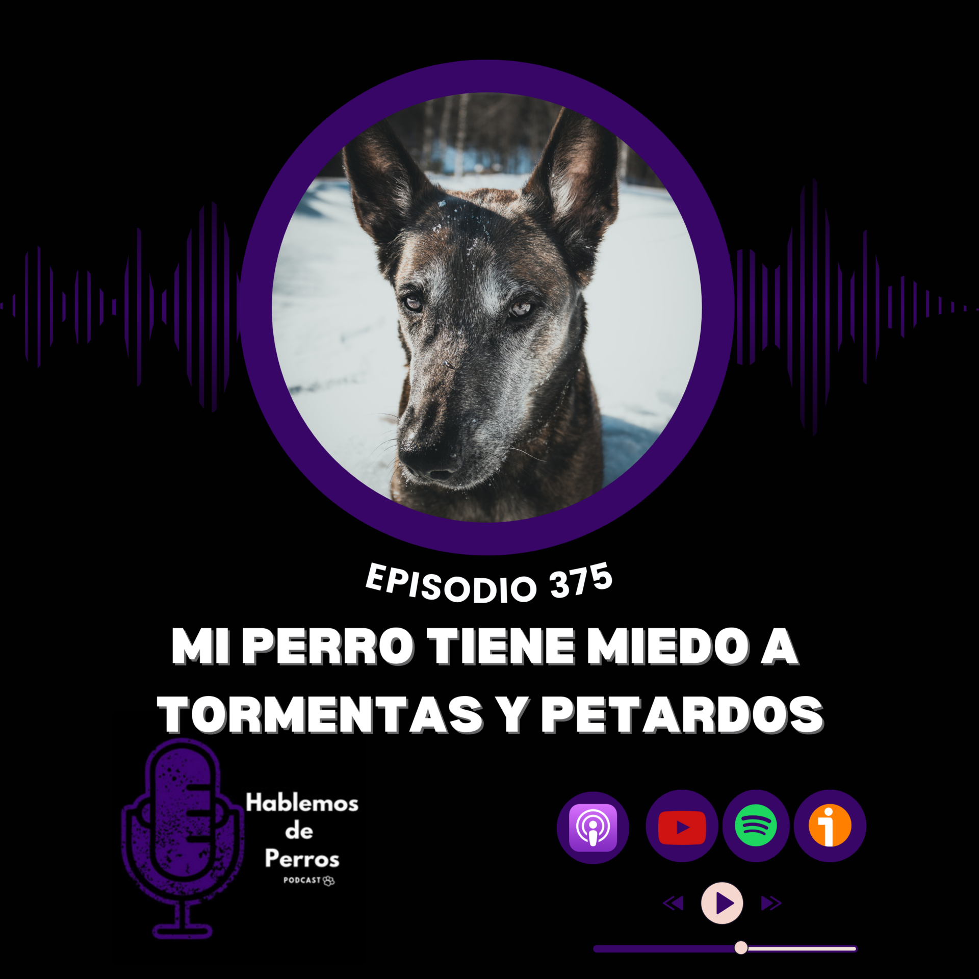 EP#375: Miedo a tormentas y petardos