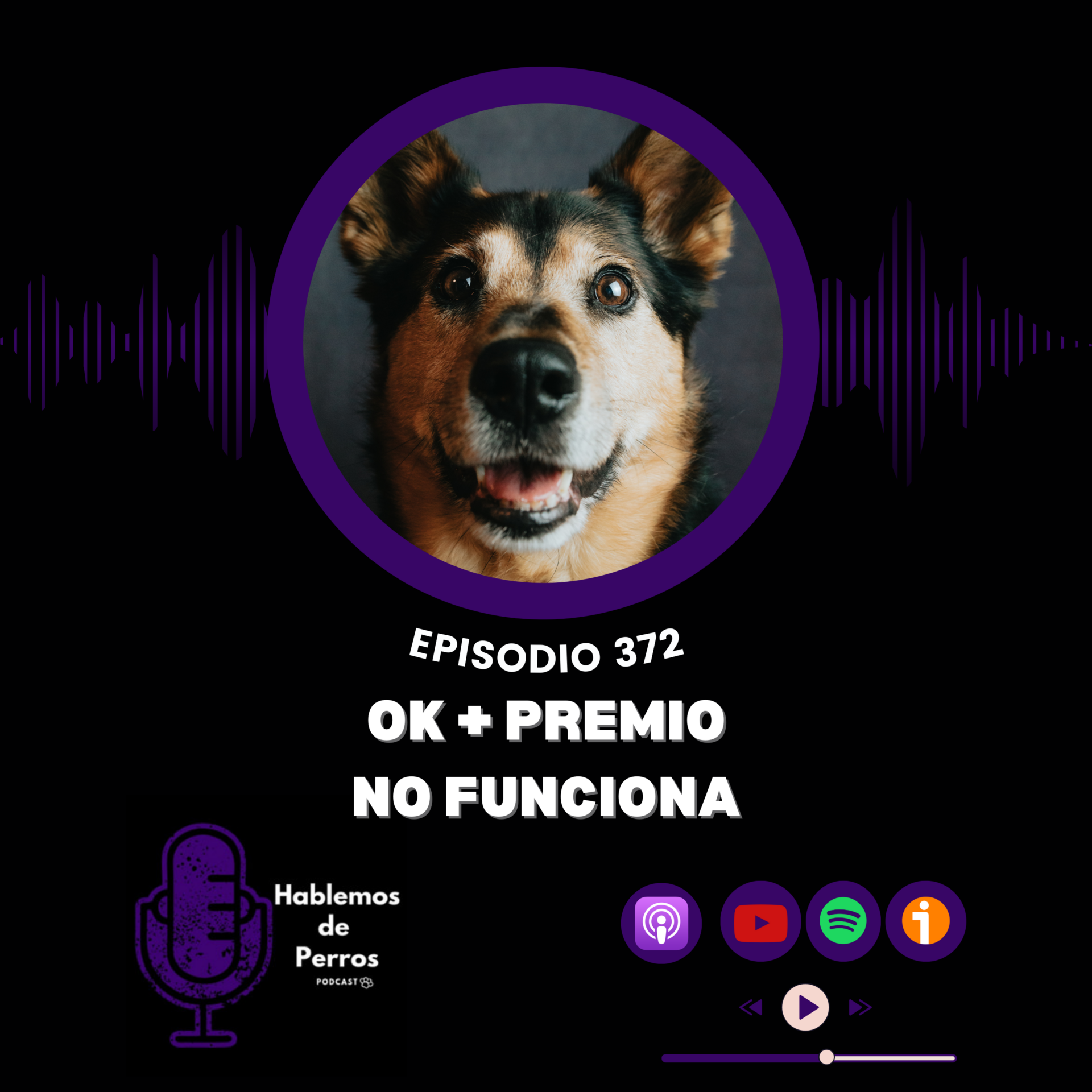 Episodio #372: Ok + premio no funciona