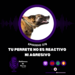 Hablemos de perros