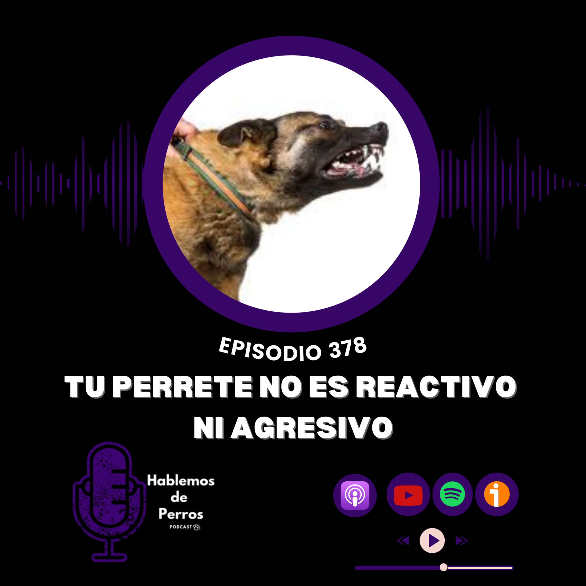 EP#378: Tu perrete NO es reactivo ni agresivo