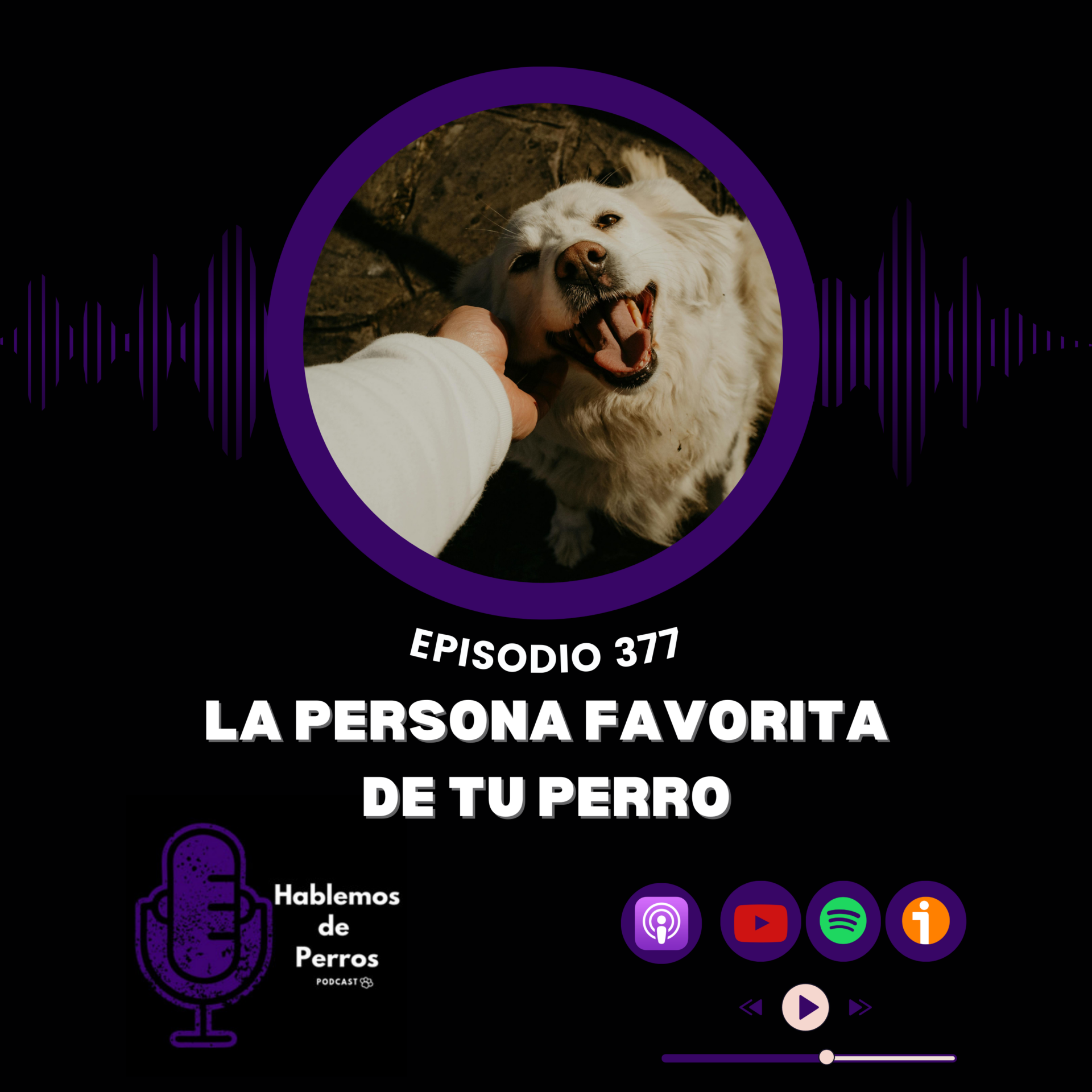 EP377# La persona favorita de mi perro