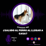 Hablemos de perros