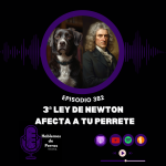 Hablemos de perros