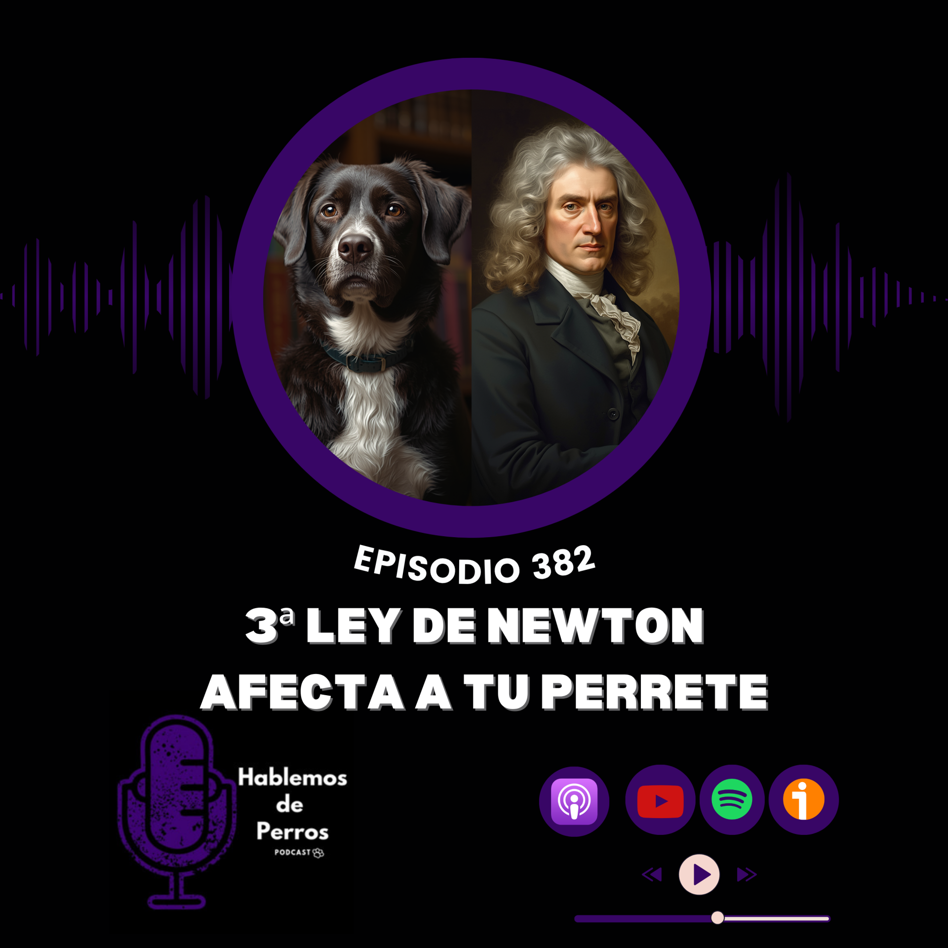 EP#382: A tu perrete le afecta a 3ª Ley de Newton