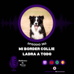 Hablemos de perros