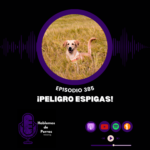 Hablemos de perros Hablemos de perros