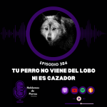Hablemos de perros