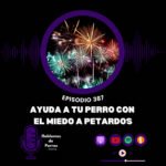 Hablemos de perros