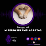 Hablemos de perros