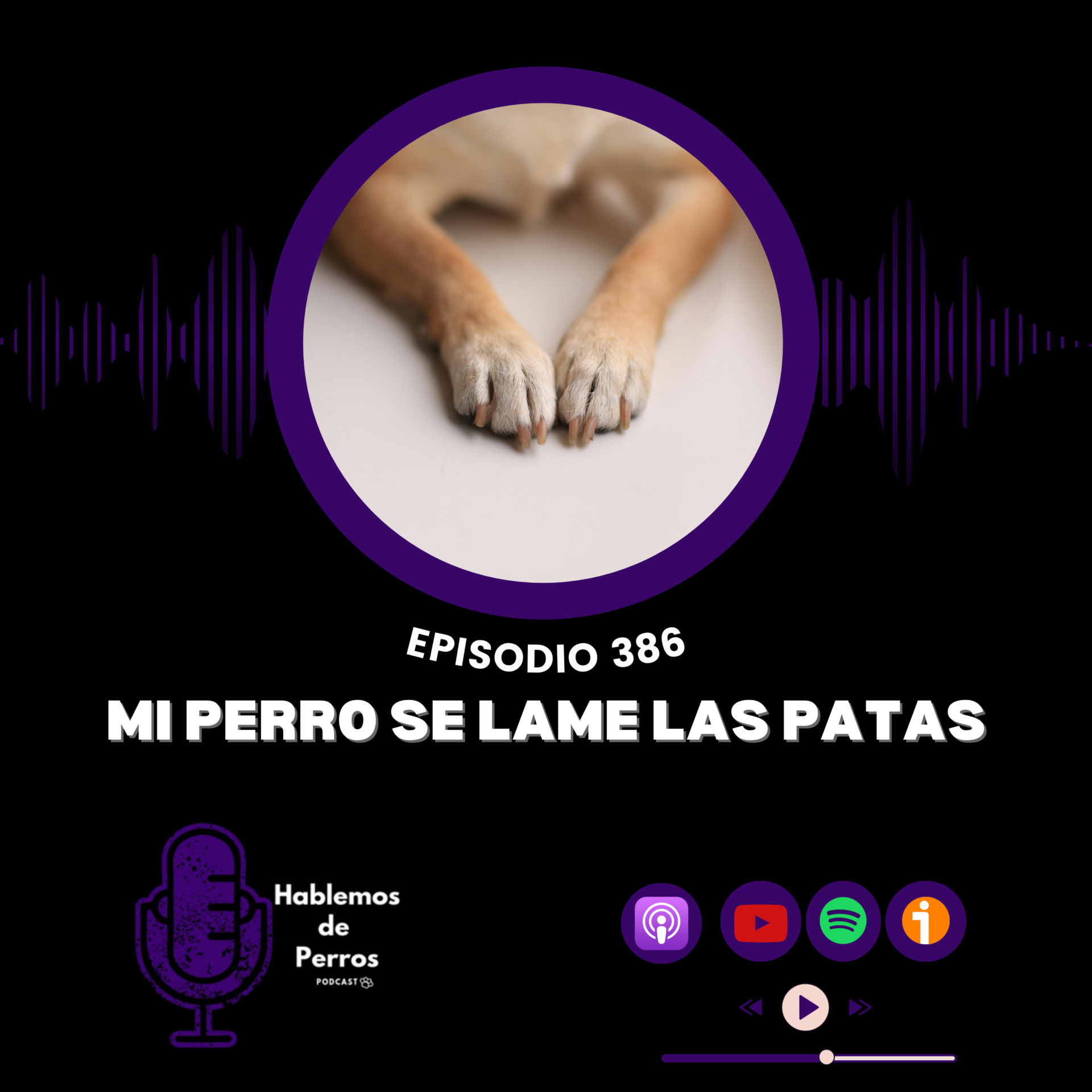 EP#386: Mi perro se lame las patas