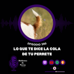 Hablemos de perros Hablemos de perros