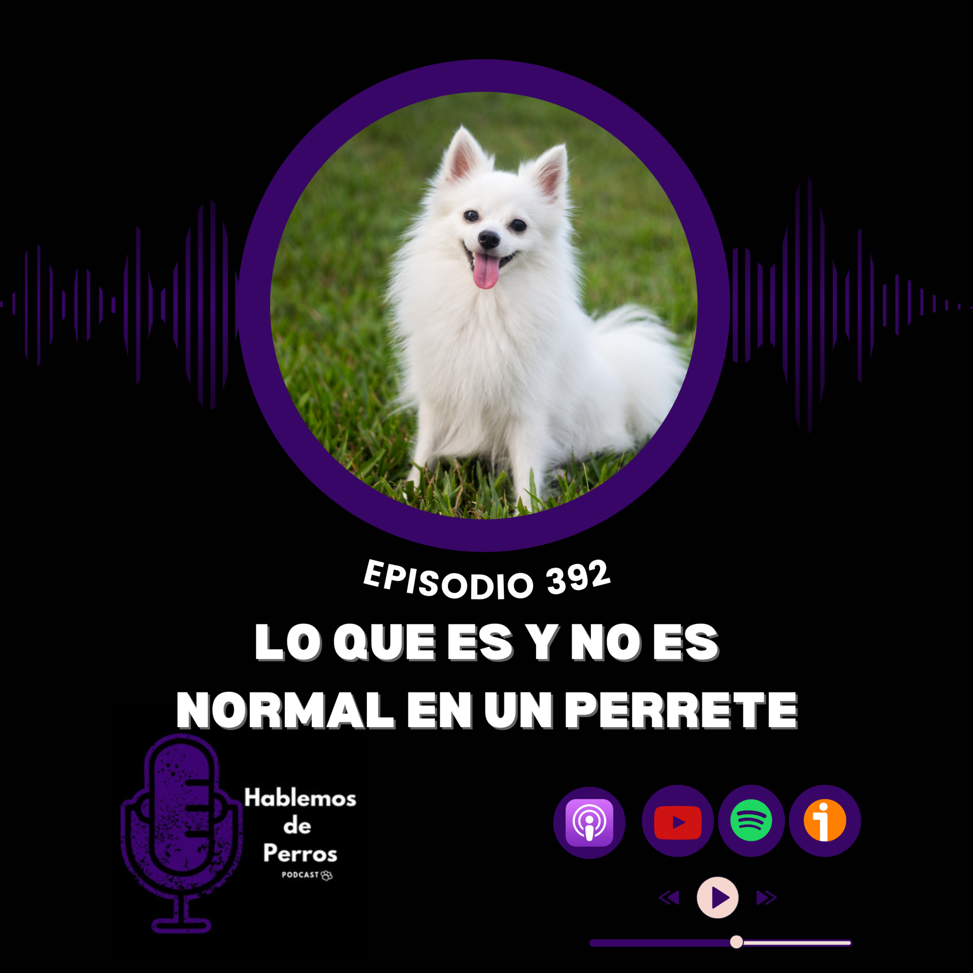 EP#392: Lo que es normal y no es normal en un perrete