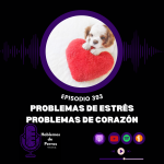Hablemos de perros