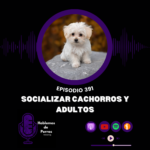 Hablemos de perros Hablemos de perros